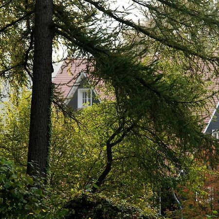 Panoramablick Appartement - Traumhaft! Ober-Hambach Luaran gambar