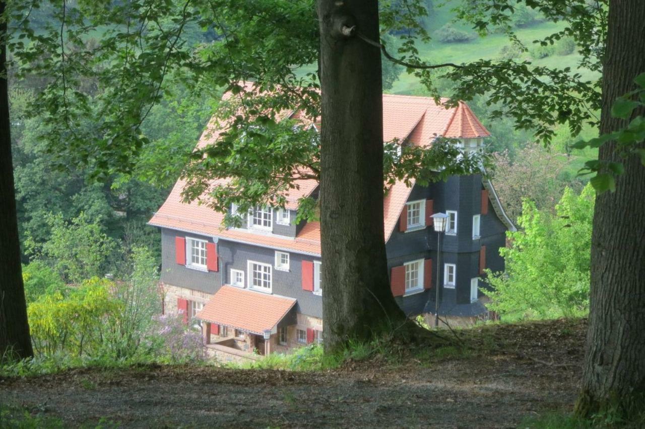 Panoramablick Appartement - Traumhaft! Ober-Hambach Luaran gambar
