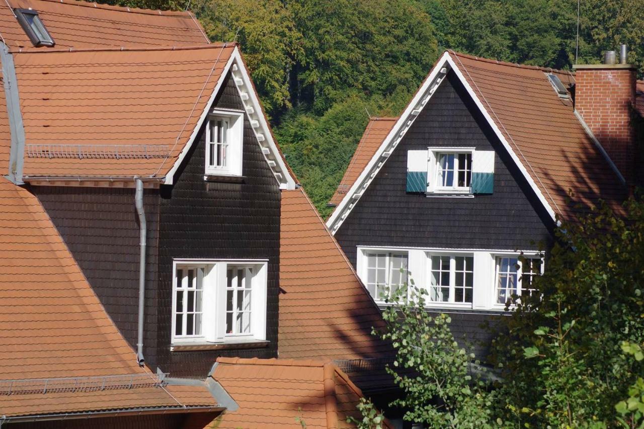 Panoramablick Appartement - Traumhaft! Ober-Hambach Luaran gambar